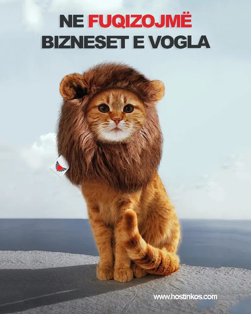 Ne fuqizojmë bizneset e vogla: Merrni -15% Ulje në Web Dizajn